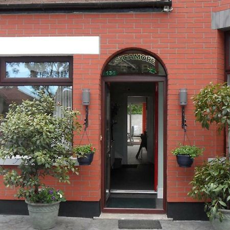 Sycamore House B&B Dublín Exterior foto